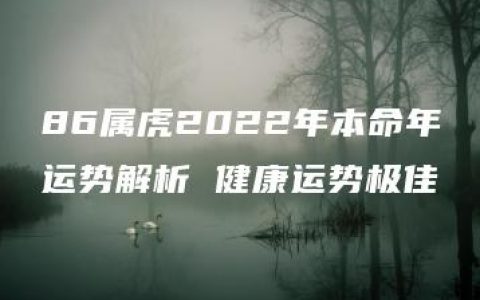 86属虎2022年本命年运势解析 健康运势极佳