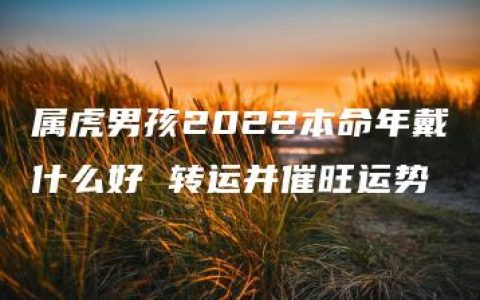 属虎男孩2022本命年戴什么好 转运并催旺运势