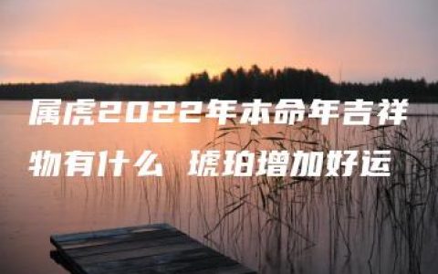 属虎2022年本命年吉祥物有什么 琥珀增加好运