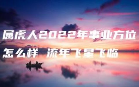 属虎人2022年事业方位怎么样 流年飞星飞临