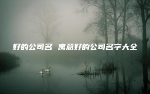 好的公司名 寓意好的公司名字大全