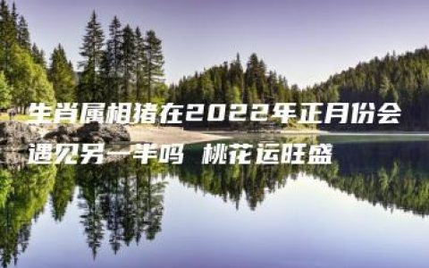 生肖属相猪在2022年正月份会遇见另一半吗 桃花运旺盛