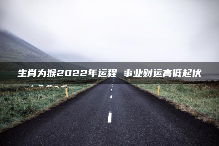 生肖为猴2022年运程 事业财运高低起伏