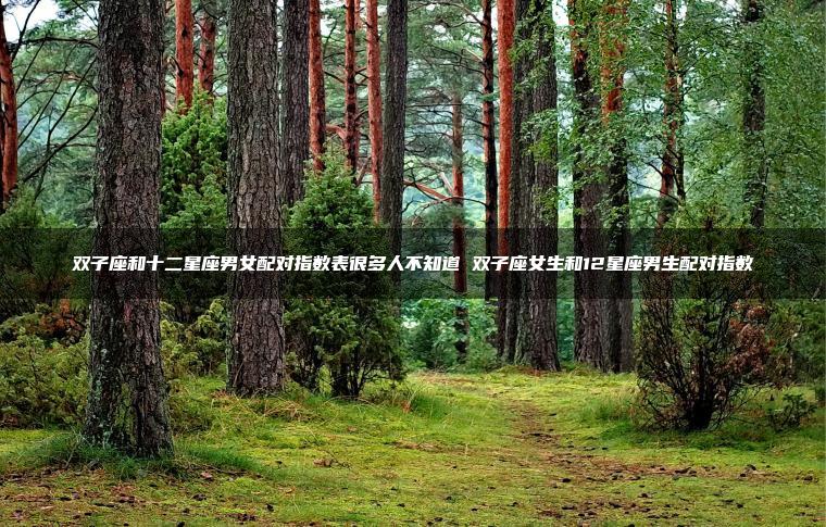 双子座和十二星座男女配对指数表很多人不知道 双子座女生和12星座男生配对指数