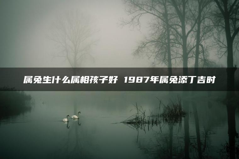 属兔生什么属相孩子好 1987年属兔添丁吉时