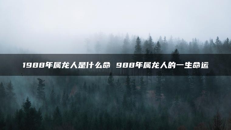 1988年属龙人是什么命 988年属龙人的一生命运