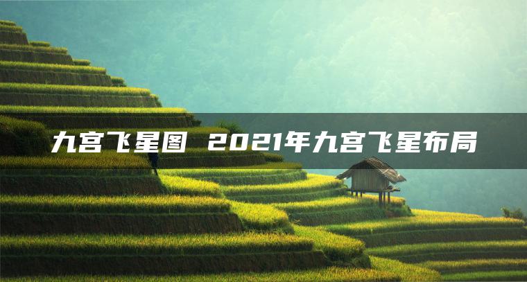 九宫飞星图 2021年九宫飞星布局