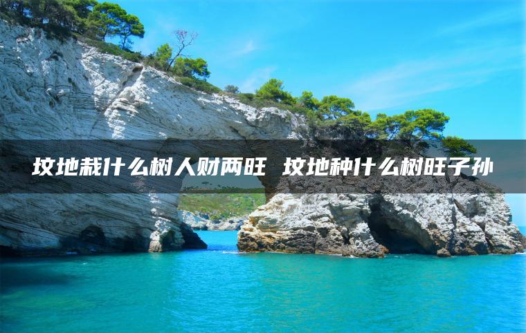 坟地栽什么树人财两旺 坟地种什么树旺子孙