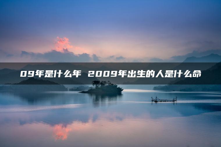 09年是什么年 2009年出生的人是什么命