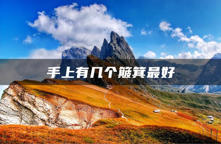 手上有几个簸箕最好