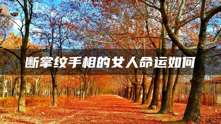 断掌纹手相的女人命运如何