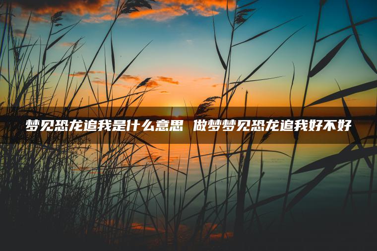 梦见恐龙追我是什么意思 做梦梦见恐龙追我好不好