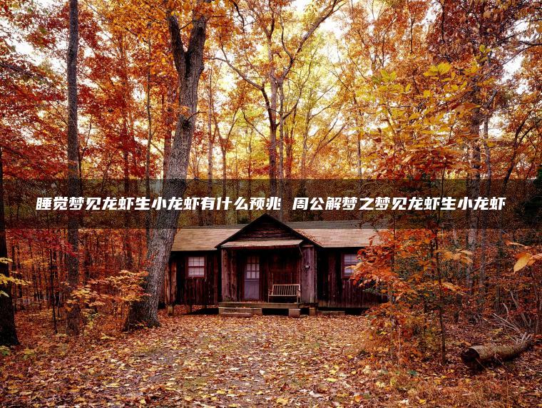 睡觉梦见龙虾生小龙虾有什么预兆 周公解梦之梦见龙虾生小龙虾