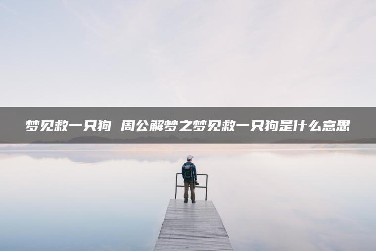 梦见救一只狗 周公解梦之梦见救一只狗是什么意思