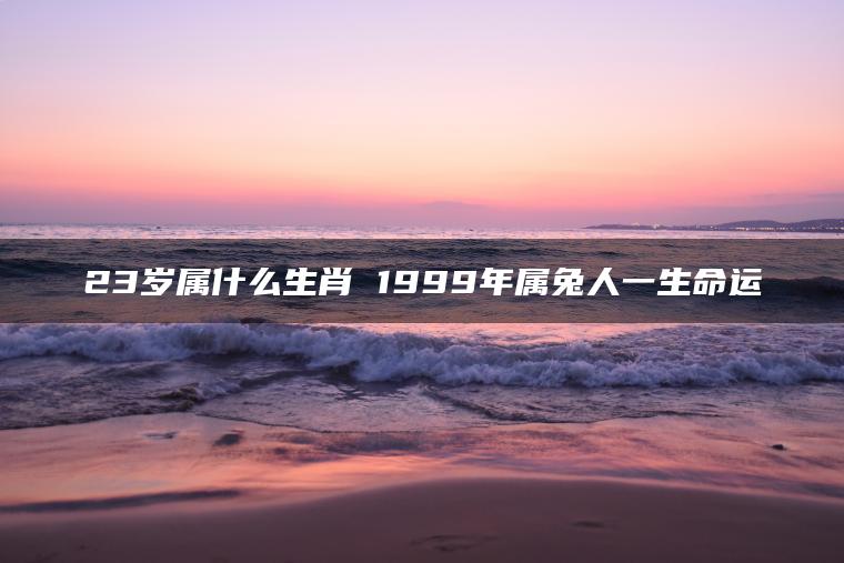 23岁属什么生肖 1999年属兔人一生命运