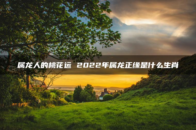 属龙人的桃花运 2022年属龙正缘是什么生肖