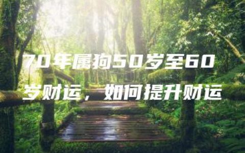 70年属狗50岁至60岁财运，如何提升财运