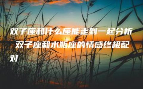 双子座和什么座能走到一起分析 双子座和水瓶座的情感终极配对