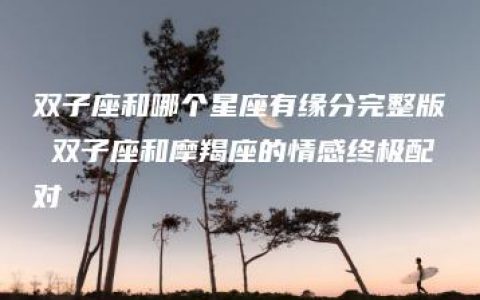 双子座和哪个星座有缘分完整版 双子座和摩羯座的情感终极配对