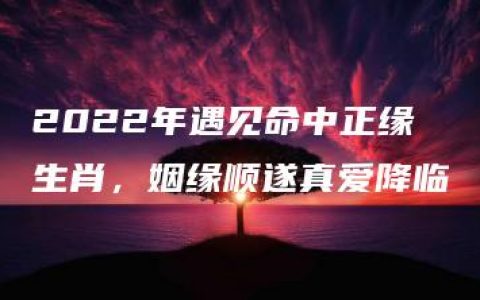 2022年遇见命中正缘生肖，姻缘顺遂真爱降临