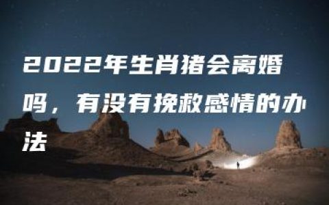 2022年生肖猪会离婚吗，有没有挽救感情的办法