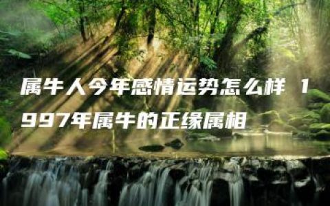 属牛人今年感情运势怎么样 1997年属牛的正缘属相