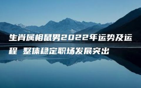 生肖属相鼠男2022年运势及运程 整体稳定职场发展突出