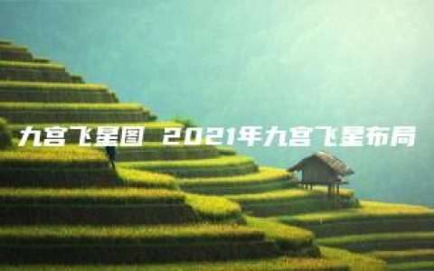 九宫飞星图 2021年九宫飞星布局