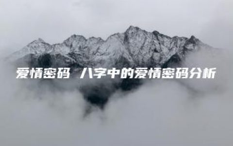 爱情密码 八字中的爱情密码分析