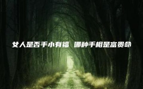 女人是否手小有福 哪种手相是富贵命