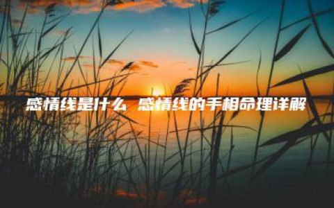 感情线是什么 感情线的手相命理详解