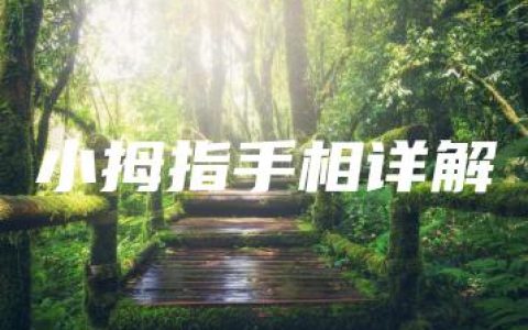 小拇指手相详解