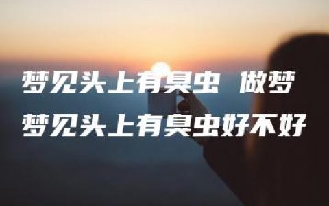 梦见头上有臭虫 做梦梦见头上有臭虫好不好