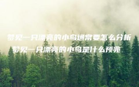 梦见一只漂亮的小鸟通常要怎么分析 梦见一只漂亮的小鸟是什么预兆