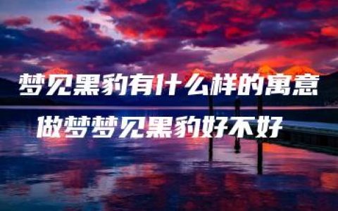 梦见黑豹有什么样的寓意 做梦梦见黑豹好不好