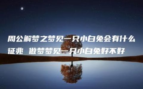 周公解梦之梦见一只小白兔会有什么征兆 做梦梦见一只小白兔好不好