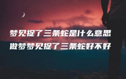 梦见捉了三条蛇是什么意思 做梦梦见捉了三条蛇好不好