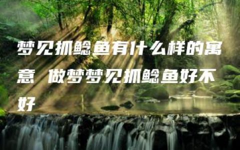 梦见抓鲶鱼有什么样的寓意 做梦梦见抓鲶鱼好不好