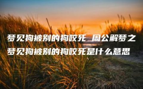 梦见狗被别的狗咬死 周公解梦之梦见狗被别的狗咬死是什么意思