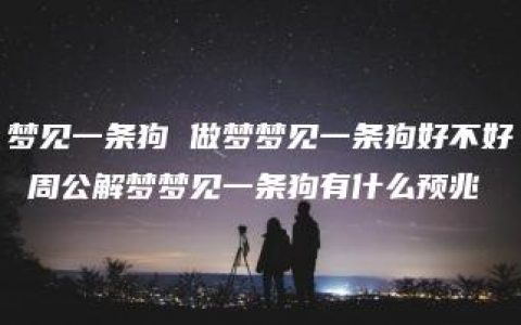 梦见一条狗 做梦梦见一条狗好不好 周公解梦梦见一条狗有什么预兆