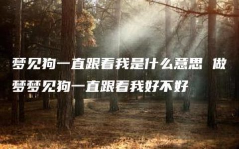 梦见狗一直跟着我是什么意思 做梦梦见狗一直跟着我好不好