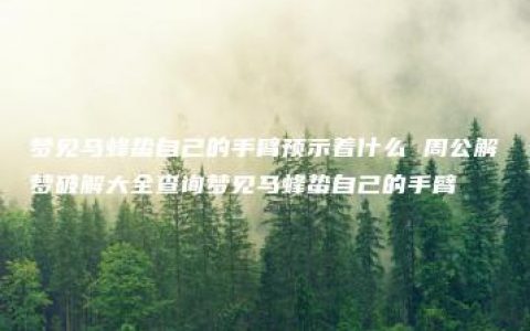 梦见马蜂蛰自己的手臂预示着什么 周公解梦破解大全查询梦见马蜂蛰自己的手臂