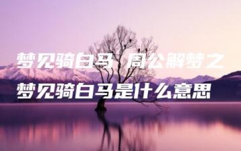 梦见骑白马 周公解梦之梦见骑白马是什么意思