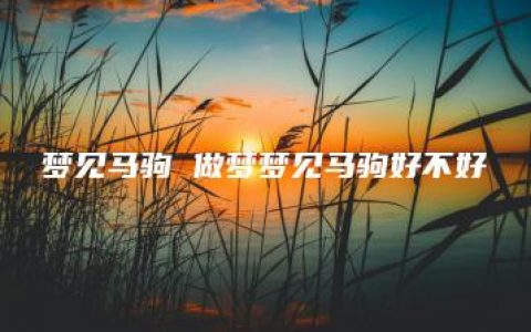 梦见马驹 做梦梦见马驹好不好