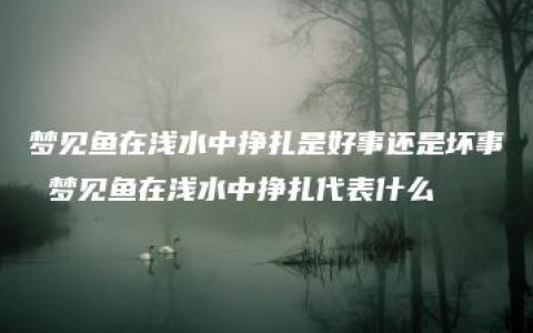 梦见鱼在浅水中挣扎是好事还是坏事 梦见鱼在浅水中挣扎代表什么