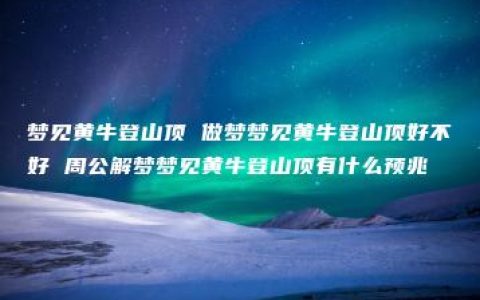 梦见黄牛登山顶 做梦梦见黄牛登山顶好不好 周公解梦梦见黄牛登山顶有什么预兆