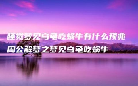 睡觉梦见乌龟吃蜗牛有什么预兆 周公解梦之梦见乌龟吃蜗牛