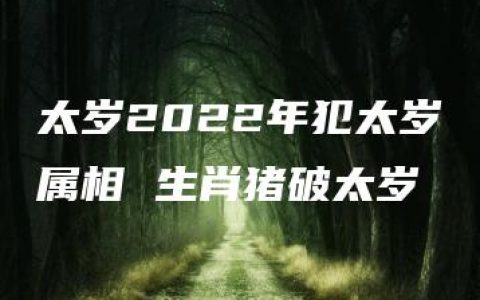 太岁2022年犯太岁属相 生肖猪破太岁