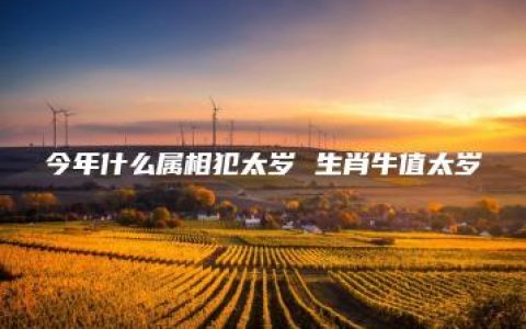 今年什么属相犯太岁 生肖牛值太岁