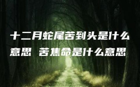 十二月蛇尾苦到头是什么意思 苦焦命是什么意思